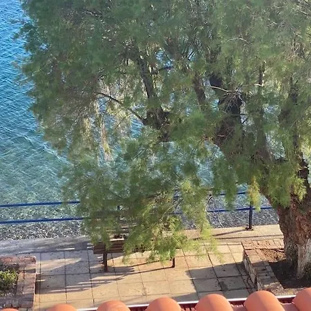 κοράλι, παραλία λίμνης * Limni (Evia)