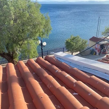 κοράλι, παραλία λίμνης