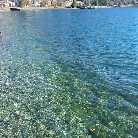 κοράλι, παραλία λίμνης Holiday home Limni (Evia)